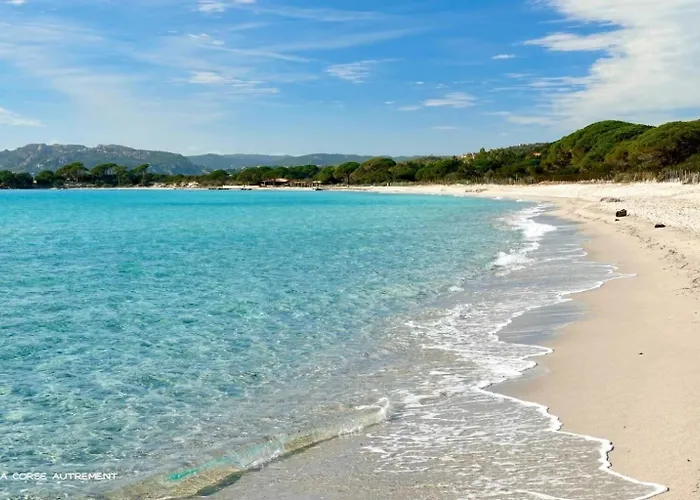 Bel Spacieux A Porto-vecchio, 10min A Pieds Du Centre Appartement
