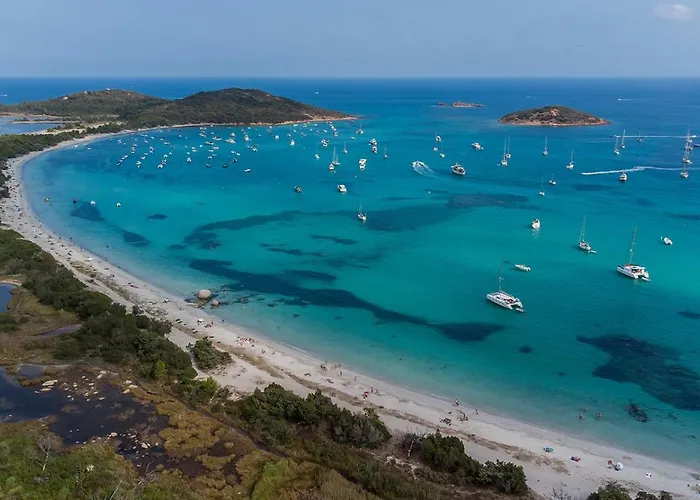 Bel Spacieux A Porto-vecchio, 10min A Pieds Du Centre Appartement *